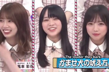 日向坂で会いましょう 【日向坂46】 『 Hinatazaka de Aimashō - Hinatazaka46 』 Episodes 191 + 195 Full HD