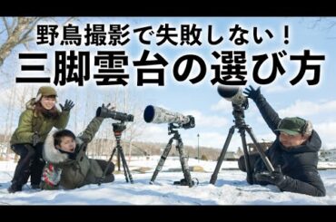 【三脚と雲台】失敗しない！野鳥動物撮影はこれ！【ジンバル雲台VSビデオ雲台】