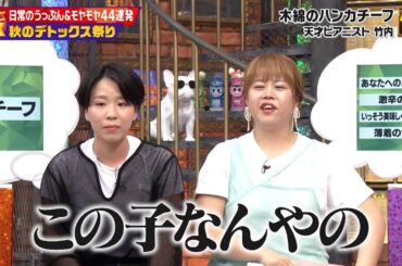 【特別プログラム】『ダウンタウンDX』2024 信州レタスVS群馬キャベツ！ライバル県対決勃発！博多弁の謎も解き明かす？秋のデトックス祭り！伊集院光、河合郁人、高岡早紀ら豪華出演！