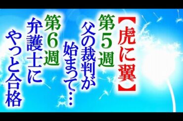 【虎に翼】朝ドラ第5週・第6週 父の裁判と弁護士合格の寅子…連続テレビ小説感想ネタバレ