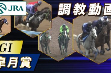 【調教動画】2024年 皐月賞｜JRA公式