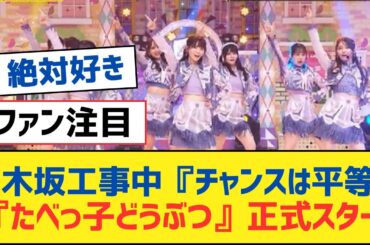 乃木坂工事中『チャンスは平等』,『たべっ子どうぶつ』正式スタート【乃木坂工事中・乃木坂スター誕生・乃木坂配信中】