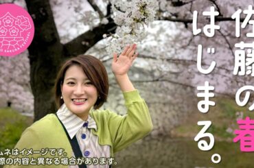 【花より酒だ】大人気花見スポットへ…酒とツマミと競馬と迎える、入社6年目の春。