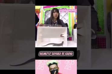 Akimoto Sayaka VS Kadal - AKB 1ji 59fun Ep.7 | AKBINGO! | #short #shorts #shortvideo
