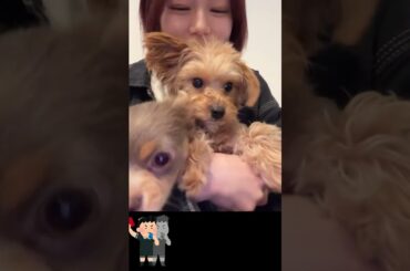 ピタ止めチャレンジ_川口葵Vol.10