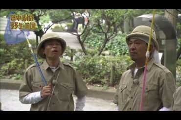 【ガキの使い】「浜田雅功ｘ松本人志」『田中直樹 野生の王国～!』