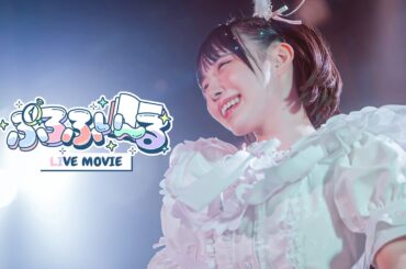 【LIVE MOVIE】ぷろふぃ〜る / のんふぃく！