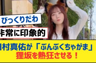 【乃木坂46】田村真佑が「ぶんぶくちゃがま」で狸坂を熱狂させる！【乃木坂工事中・乃木坂スター誕生・乃木坂配信中】