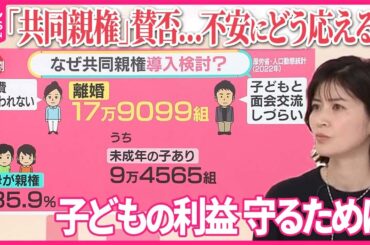 【子どもの利益のために】 離婚後の「共同親権」に賛否「“温厚な紳士”元夫がDV」「再び支配されるのでは」…不安にどう応える？【#みんなのギモン】