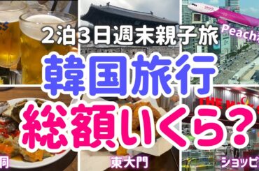 【韓国旅行総額いくら？】親子旅２泊３日の韓国旅行。食にショッピングにソウルを堪能！気になる費用の総額もお伝えします！