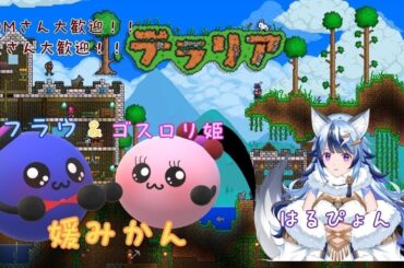 水曜日は媛みかんの二人と一緒に定期配信！！【テラリア#７】この配信は私の引退がかかってる！！！（笑）