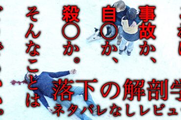 映画「落下の解剖学」は考察しても無駄！事件の真相には意味がない【第96回アカデミー賞ノミネート作品】 #moviemoving