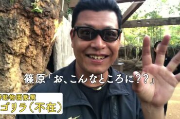 【アヤカシ猫bar一行が動物園巡り！？】上野動物園を散策したよ♪【メンバー限定動画！】