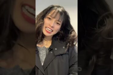 【豆柴の大群】GOODBYE2023HELLO2024 #shorts