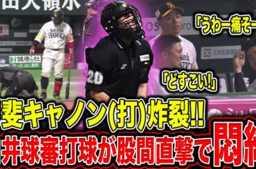 【悶絶】白井球審の股間に打球が直撃で拍手！？佐々木朗希詰め寄り問題で話題となった審判員の絶対に犯してはいけない最大の過ちとは！？衝撃的な”罵倒研修”がヤバすぎる…【プロ野球】