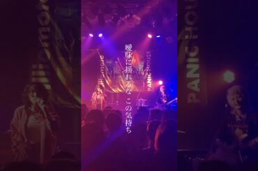 illiomote「ヤケド」Live  Shorts #dancemusic   #artist  #live  #lyricvideo #abema