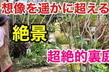 【驚愕の連続】バックヤードがとんでもなく素敵な個人庭　　【カーメン君】【園芸】【ガーデニング】【初心者】