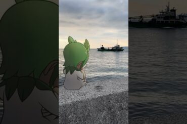 【#のんのちゃん】質問きてたin上関　感傷編🌸　 #VTuber #新人Vtuber #VTubers #旅行