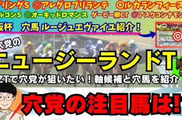 【穴党のNZT2024】【大阪杯 穴馬ルージュエヴァイユ紹介】穴党がニュージーランドTで狙いたい馬を紹介！