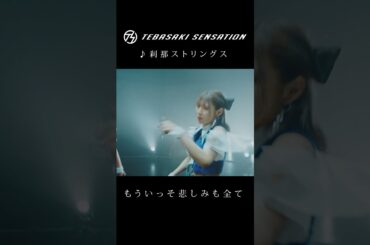 刹那ストリングス　#手羽先センセーション #jpop #shorts