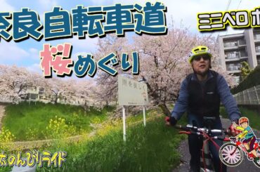【ミニベロ】飛鳥葛城自転車道と京奈和自転車道をつなぐ桜めぐりのベストコース