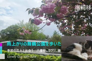 vlog【福岡移住】ハローワークの後　雨上がりに舞鶴公園 の季節の花々を観てきた　八重桜・ツツジ・藤【大阪のタワマン生活からアパート暮しの物語vol.23】