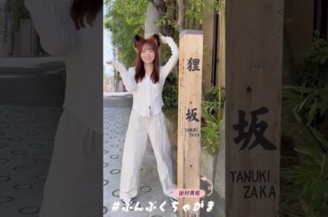田村真佑　狸坂でぶんぶくちゃがま  #乃木坂46 #short