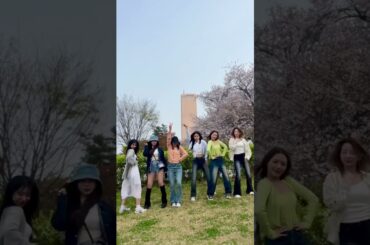 🌸🦊🐥🐰🐼🐶🐿🌸 #로켓펀치 #RocketPunch #shorts