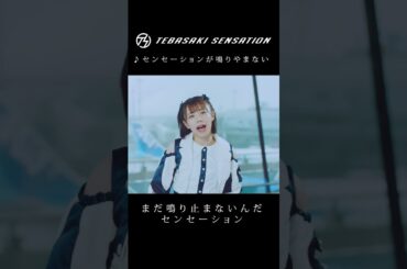 「センセーションが鳴りやまない」#手羽先センセーション #jpop #shorts