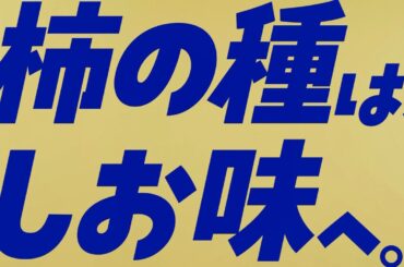 亀田の柿の種「IカリッとYOU  うましお篇」TVCM　15秒