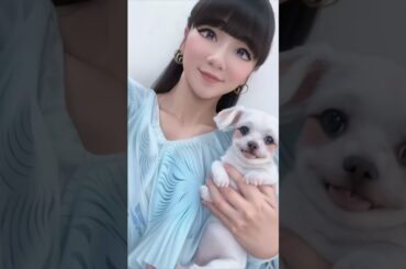 Perfume TikTok動画とインスタグラム動画のアニメ化+2024年1月17日18日SNS投稿