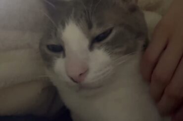 おやすみ前のアッシュくん