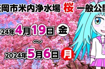【盛岡市上下水道局】米内浄水場の桜一般公開