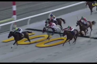 jbcスプリント2023 イグナイター 青嶋達也 園田競馬場の悲願