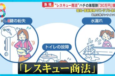 【急増】“レスキュー商法”に要注意！ハチの巣駆除で30万円？トイレ詰まりで50万円？【めざまし８ニュース】