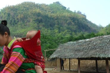 Traditional Thatched Roof, Crab Catching & Warm Meal Amidst Natur - Ly Tieu Ca