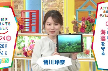 ［ひるおび］皆川玲奈アナウンサーの気になるSDGsは？「地球を笑顔にするWEEK」【TBS】