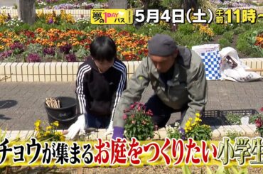 【予告】「夢の１DAYパス」5月4日（土）午前11時～