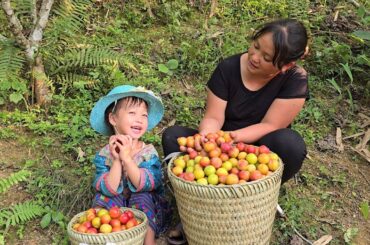 19 year old single mother - harvesting plums to sell at the market with her daughter Lisa-ly tieu ca
