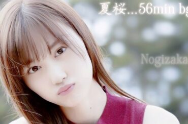 夏桜...56min bgm (audio)