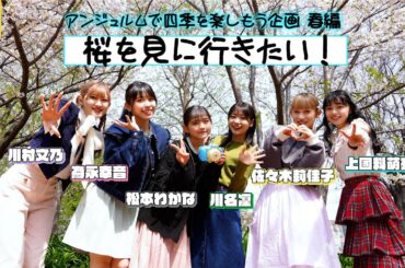 アンジュルムのメンバーで桜を見に行きたい！≪アンジュルムの四季を楽しもう企画≫
