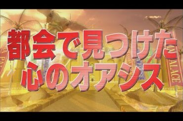 都会で見つけた心のオアシス【踊る!さんま御殿!!公式】
