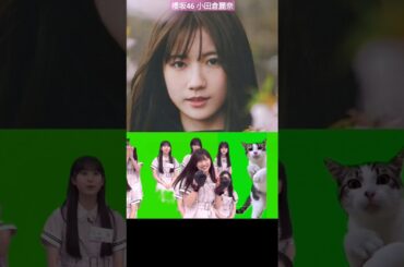 櫻坂46 小田倉麗奈 猫ミーム ボクシング♪