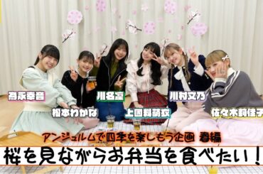 アンジュルムで桜を見ながらお弁当を食べたい！≪アンジュルムで四季を楽しもう企画≫