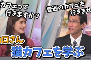 【岡本結子リサ・山口剛央】山口さんイオンの猫カフェを見て商売猫の凄さを知る【ウェザーニュース切り抜き】