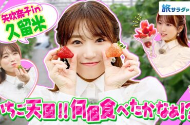 【矢吹奈子in福岡・久留米市】旬のいちご狩り&絶品パフェを堪能！〈ロコレコ！〉