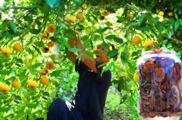 新鲜摘下的黄金果取皮经过传统工艺，腌制晒干制作成调味配菜，用来焖鱼配粥可以吃三大碗