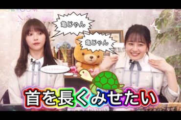 【亀ダンス】首を長く見せたい与田と向井は突然首を上下してふざける