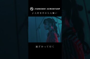 「大好きだから大嫌い」#手羽先センセーション #jpop #shorts