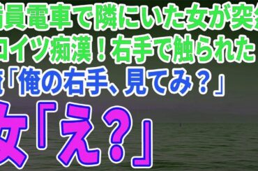 【スカッとする話】満員電車で隣にいた女が突然「コイツ痴漢！右手で触られた！」俺「俺の右手見てみ？」女「え？」→女絶句の結末に【修羅場】